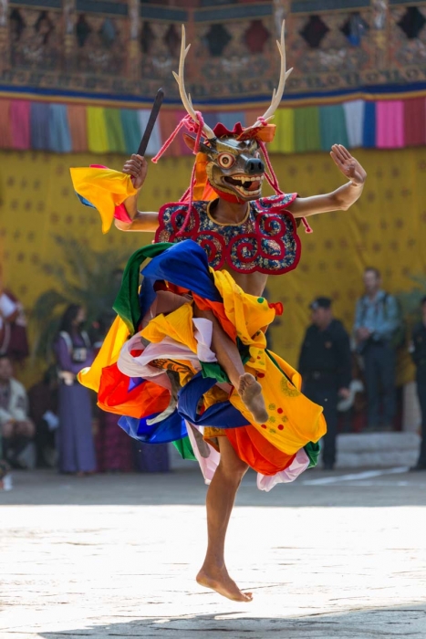 Masked dancer at Punakha Tsechu (religious festival), Western Bhutan