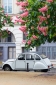 White Citroen C2V under flowering chestnut trees in Place Dauphine, Paris