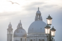 Seagull over Santa Maria della Salute, Venice