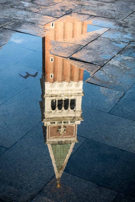 A seagull flies near the Campanile, reflected in the flood water in St. Mark's Square, Venice