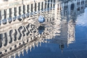 A sea gull wades in the acqua alta high tide flooding in St. Mark's Square, Venice