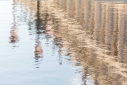 Rippled reflections of buildings and lamp posts in St. Mark's Square, Venice