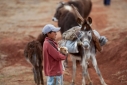 Young boy with his puppy, Sacred Valley, Peru